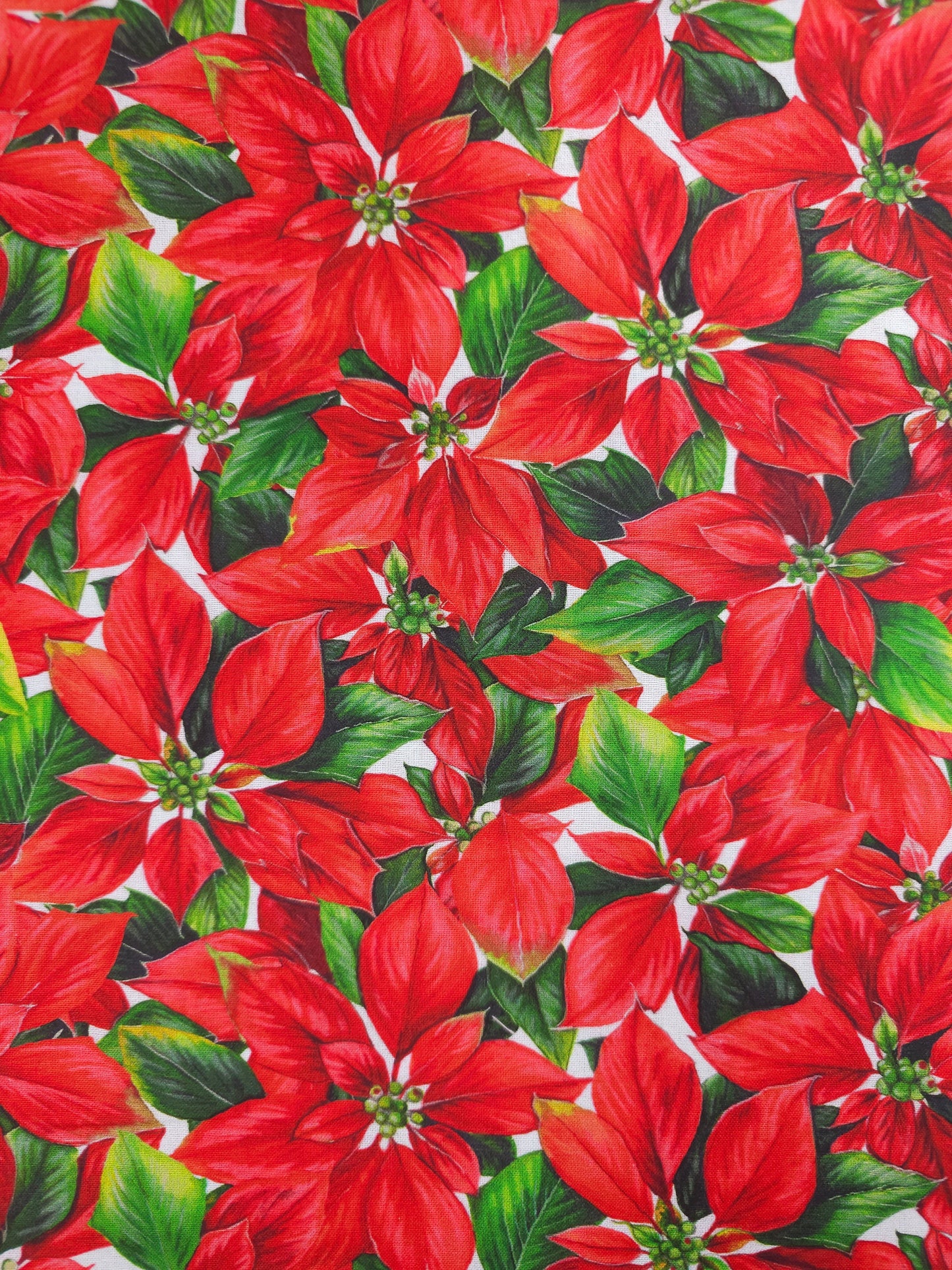 Red Poinsettia Floral 100% Cotton