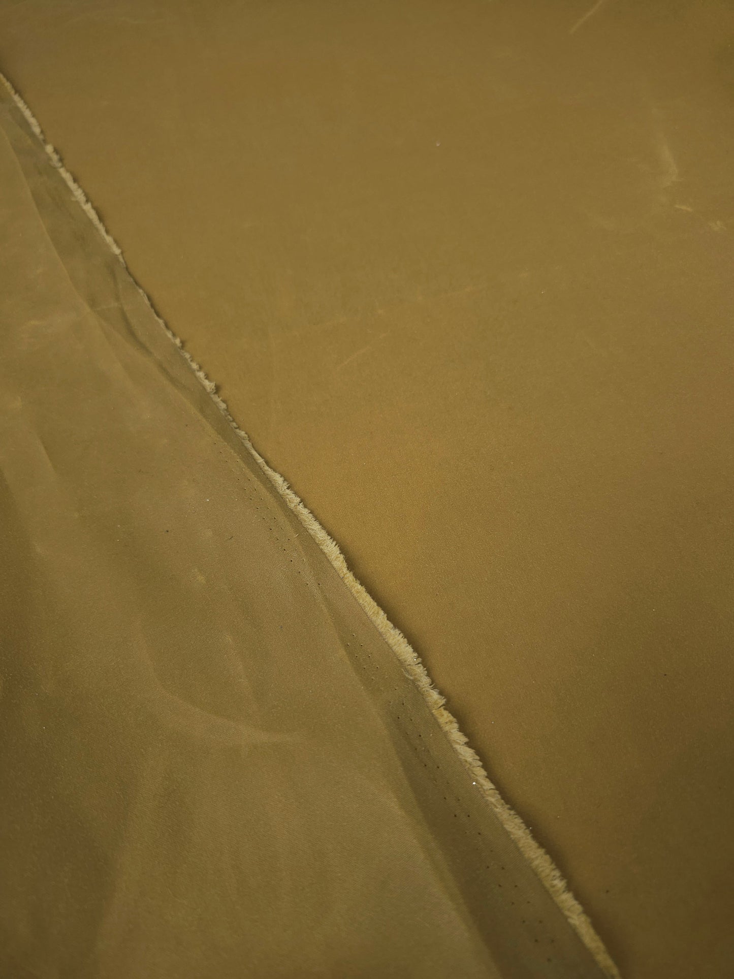 Dijon Mustard Wax Cotton