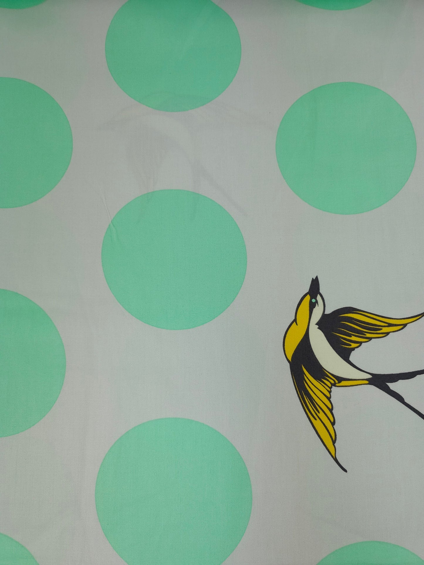 Grey/Mint Free Fall Bird Polka Cotton Sateen 103" - Tula Pink *EXTRA WIDE*