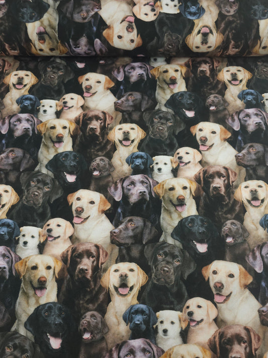 Labrador Dogs 100% Cotton