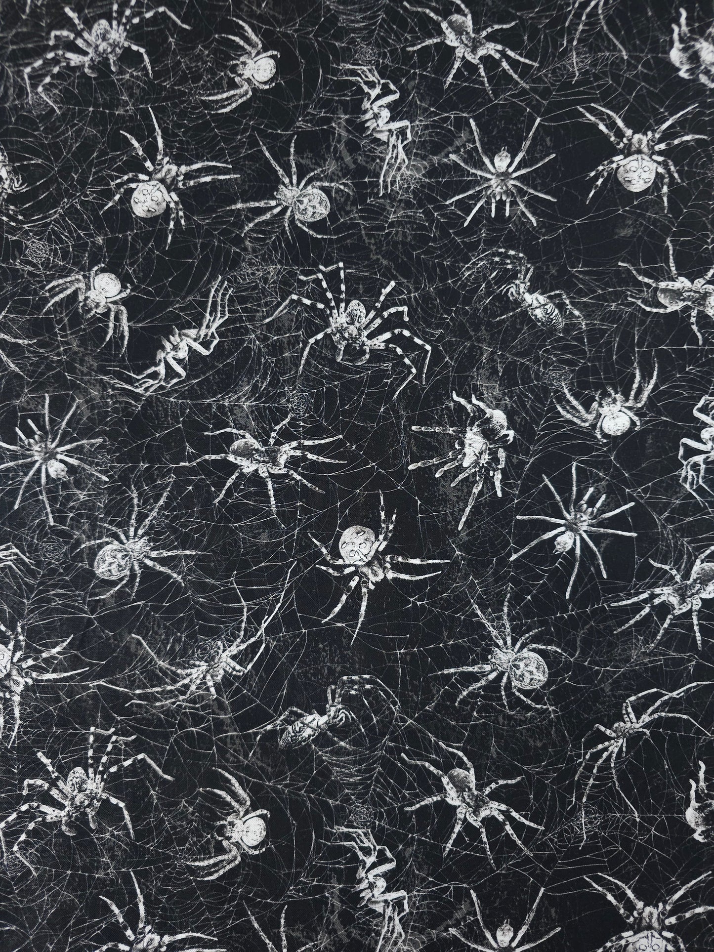 Wicked Spider Web 100% Cotton